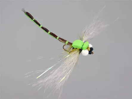 Superb Large Dragonfly Green 8