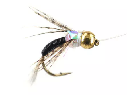 Ales Black Copper Nymph 14