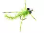 Shiny Chartreuse Dragonfly Nymph