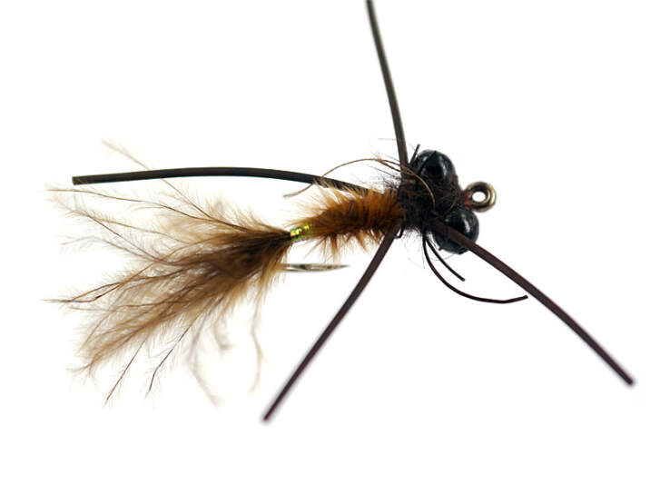 Ales Dark Brown Dragonfly Nymph