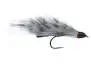 Competition CH Zonker Grey Barred TG