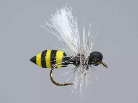 Medium Wasp HF