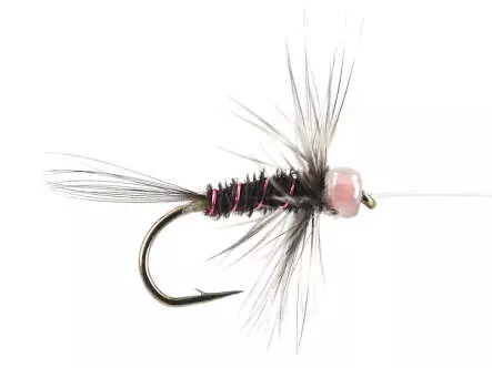 River Pheasant Purple Grizzly Hackled 14