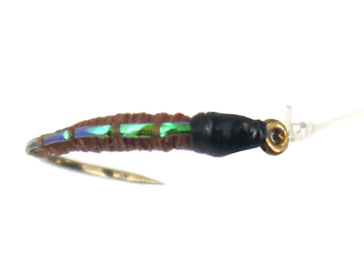 Pearl Back Chiro Brown 16