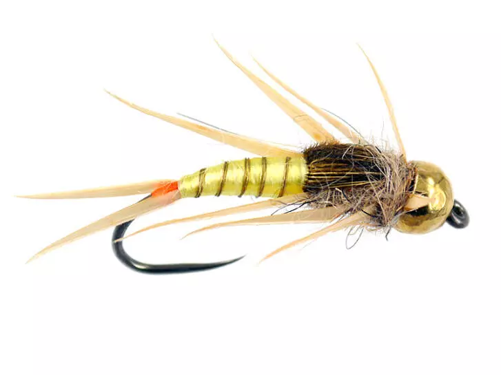Pale Yellow Elite Stonefly Nymph TG BL 4