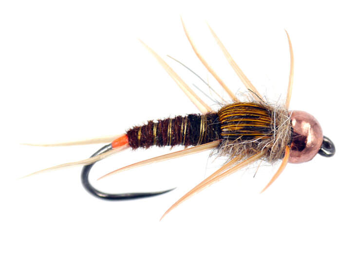 Marbled Elite Stonefly Nymph TG BL 4