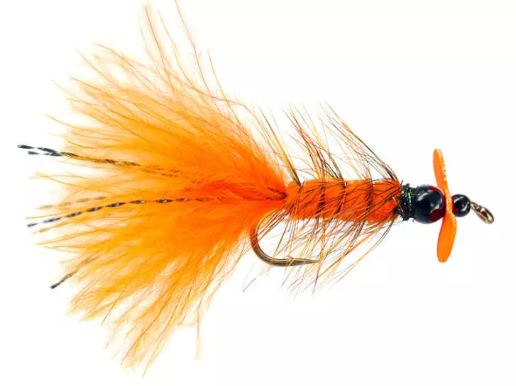 Orange Hot Wooly Bugger Evo