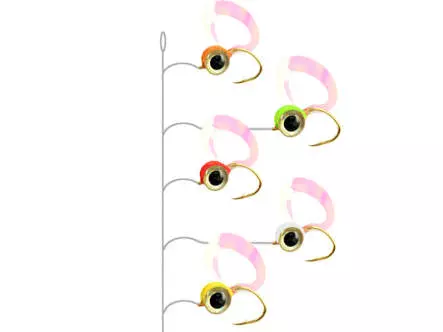 Barsch Hegene BIG EYE CURL TAIL