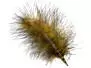 GRIZZLY MARABOU hotfly - 5 pz. - ca. 13 cm - golden olive...