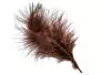 GRIZZLY MARABOU hotfly - 5 pz. - ca. 13 cm - brown black...