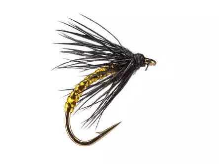 Golden Crow