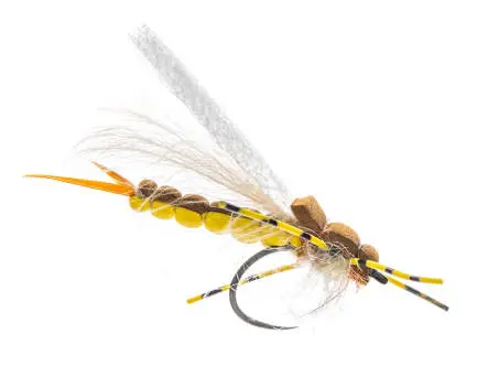 Allis Wide Gape Leg Stonefly BL