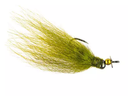 Olive Jig Off  Roto Star