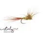 SF Wulff Peccary Golden Olive BL