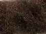 SYNTH. PEACOCK DUBBING hotfly - 1 g - dark brown