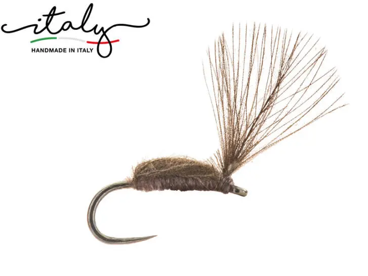 Tiny Chiro Arpo BL CDC Minimalist Dark Brown 20