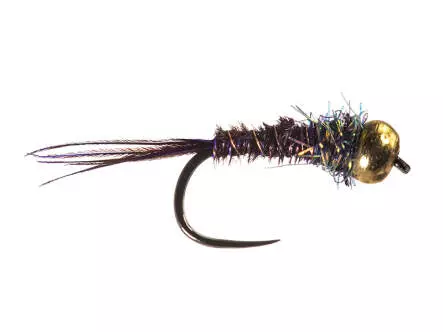 Tiny Purple Pheasant Nymph Brass Bead BL