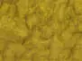 BEAVER DUBBING made in italy hotfly - 1 g - mustard