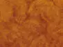 BEAVER DUBBING made in italy hotfly - 1 g - rusty