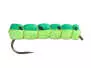Green Caterpilar