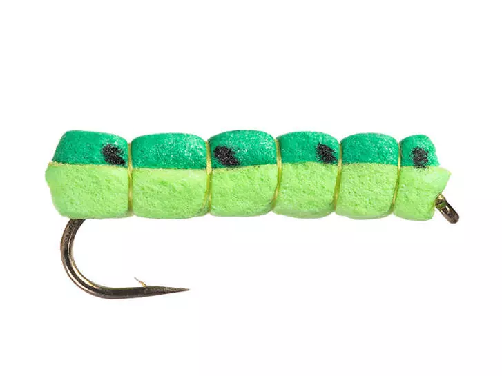 Green Caterpilar 10