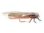 Salmonfly