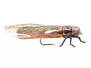 Salmonfly 4