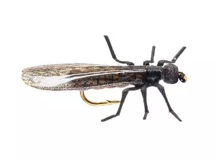 X-True Stone Fly little black