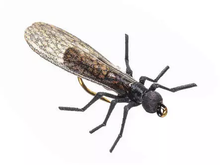 X-True Stone Fly little black