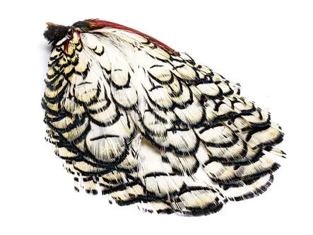 DIAMANTFASAN KOPF KOMPLETT hotfly