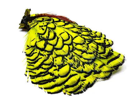 DIAMANTFASAN KOPF KOMPLETT hotfly