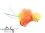 Pulse Booby Bicolor Orange Yellow BL