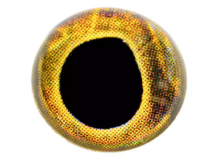 4D EYES X-REAL hotfly - 20 pc. - gold - 6 mm