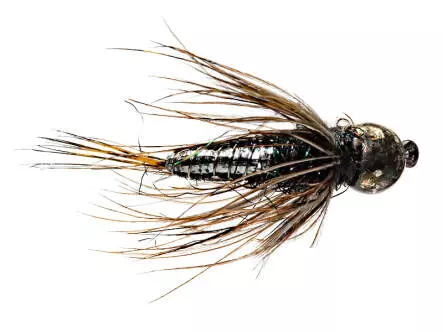 Ales Trout Star Black TG BL