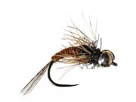Ales Trout Star Brown TG BL
