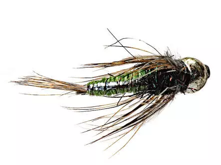 Ales Trout Star Olive TG BL