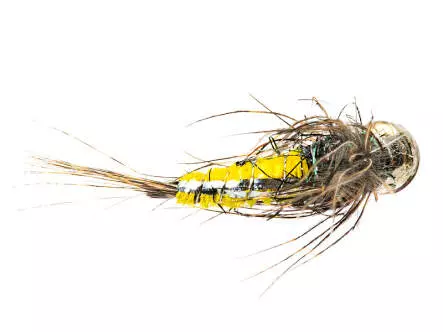 Ales Trout Star Yellow TG BL