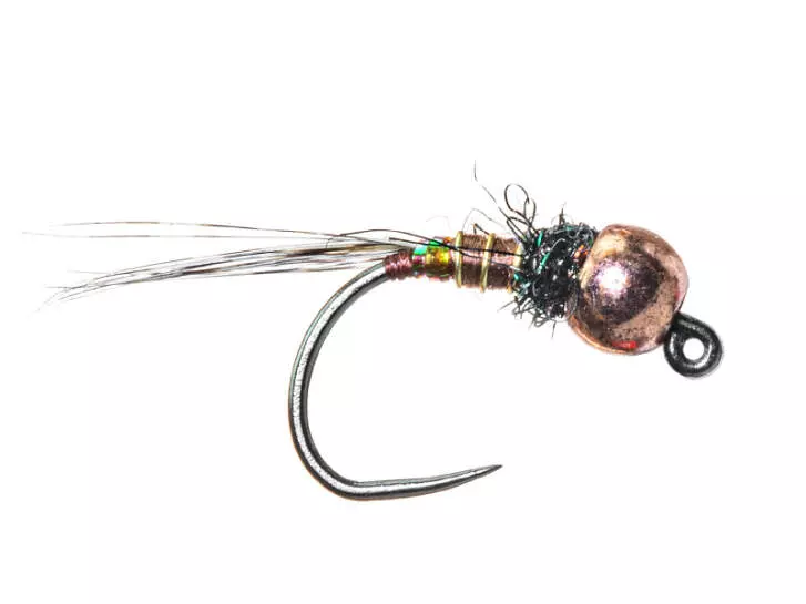 Competition Skull TG BL V2