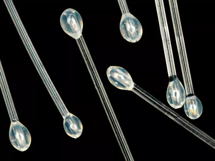 SHRIMP EYES hotfly - 10 pc. - clear