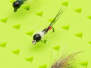 Inserto SILIPATCH NYMPH hotfly con lato inferiore autoadesivo per scatole mosche