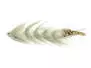 Articulated XXL Pike & Taimen Streamer 25 cm Grey