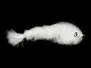 Game Changer Minnow 9 cm White