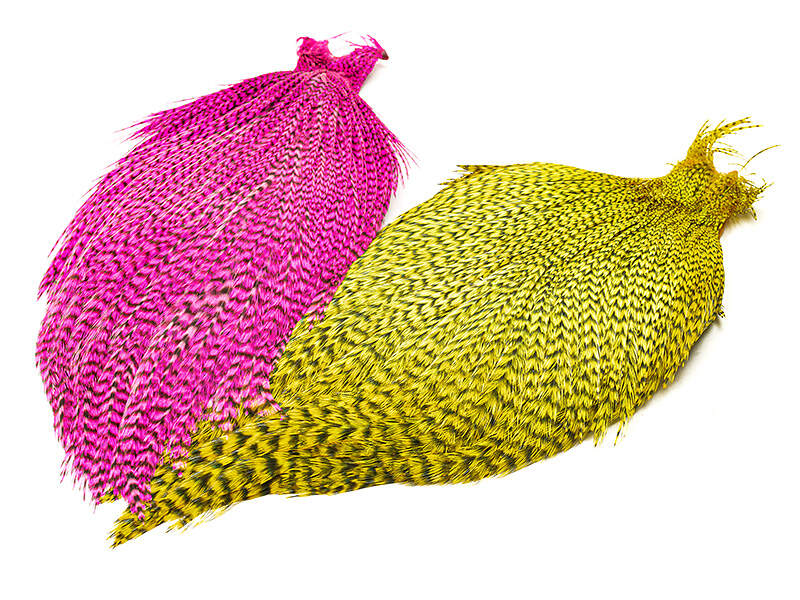 508244_8