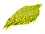 COLLO DI GALLO GRIZZLY PRO TYER hotfly