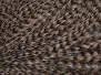 COLLO DI GALLO GRIZZLY PRO TYER hotfly - brown