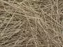 DEER HAIR DUBBING made in italy V2 hotfly - 1 g - natural