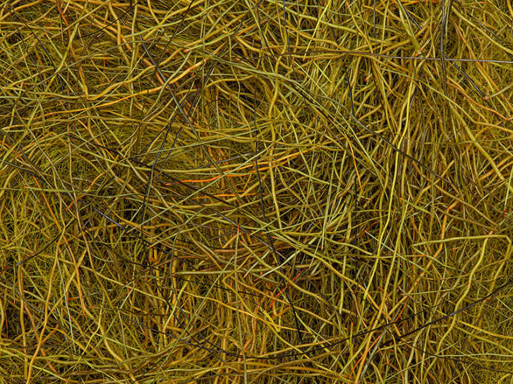 CHAMOIS HAIR DUBBING made in italy hotfly - 1 g - mustard