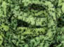 GRIZZLY MOP FLY CHENILLE hotfly - 4 mm - 200 cm - olive