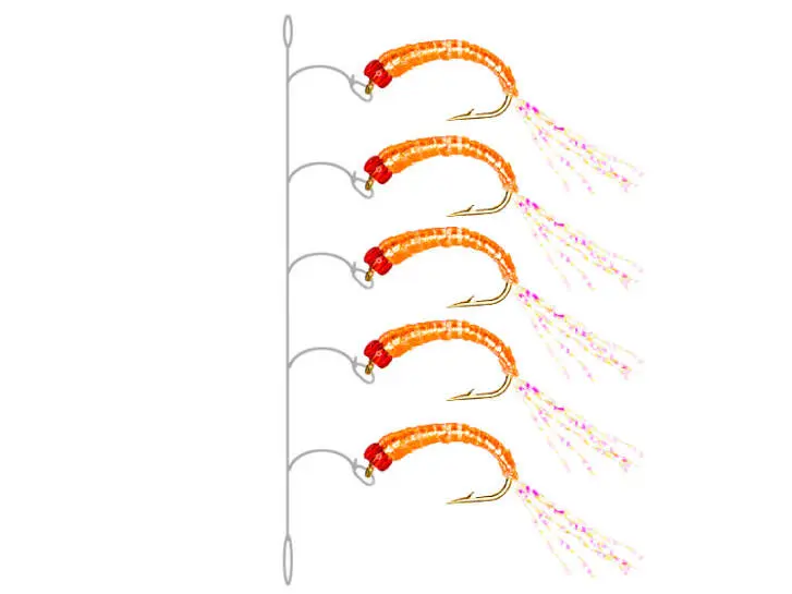 Alosa Agone Hegene FLASHABOU SALMON ORANGE