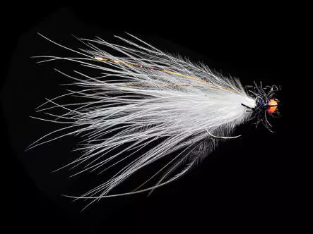 Morgans Bracc BH White Pearl BL